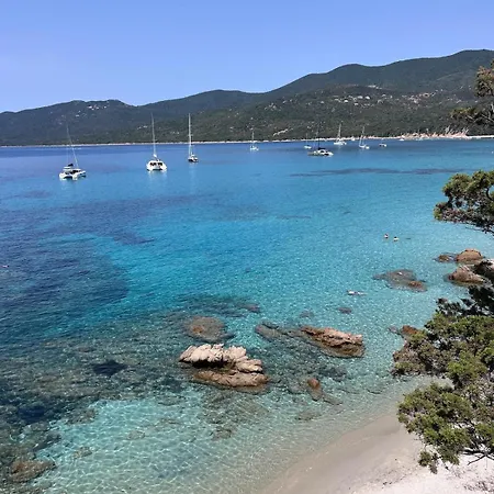 1-bedroom With Access To Cupabia Apartment Serra-di-Ferro (Corsica)