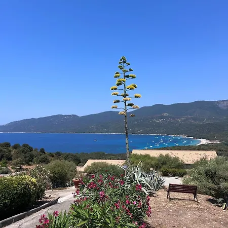 1-bedroom With Access To Cupabia